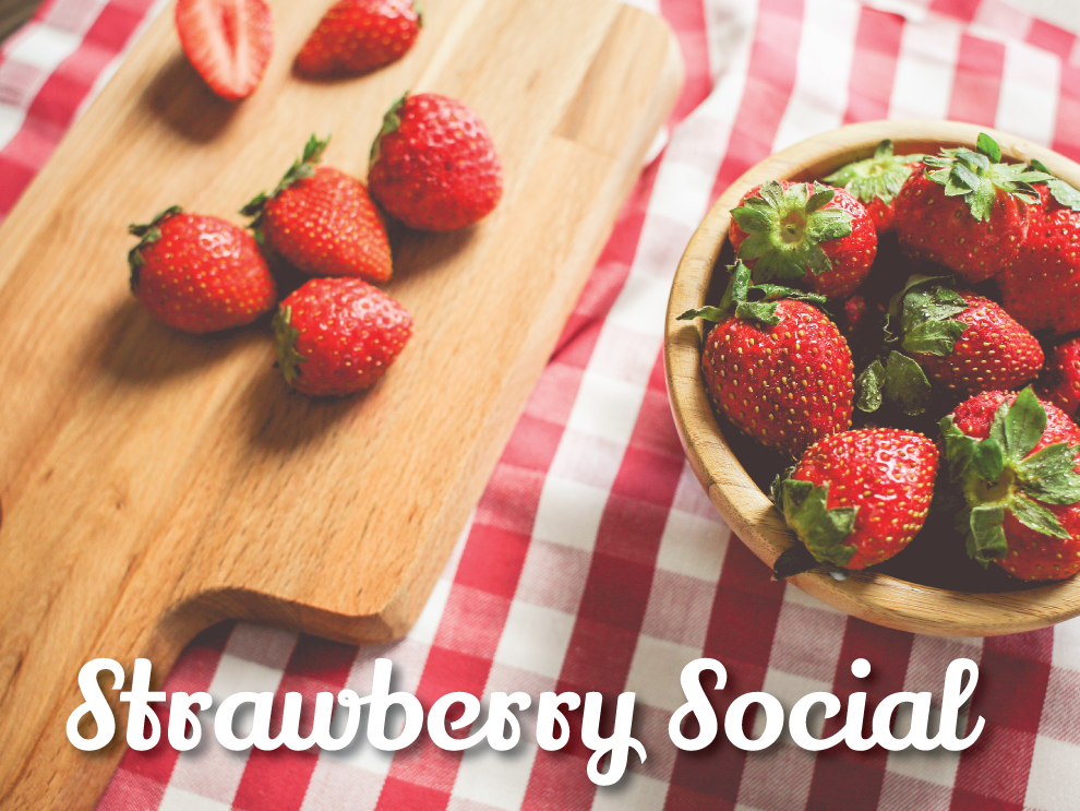 Strawberry Social Lady Marine Rose Chapter OR1